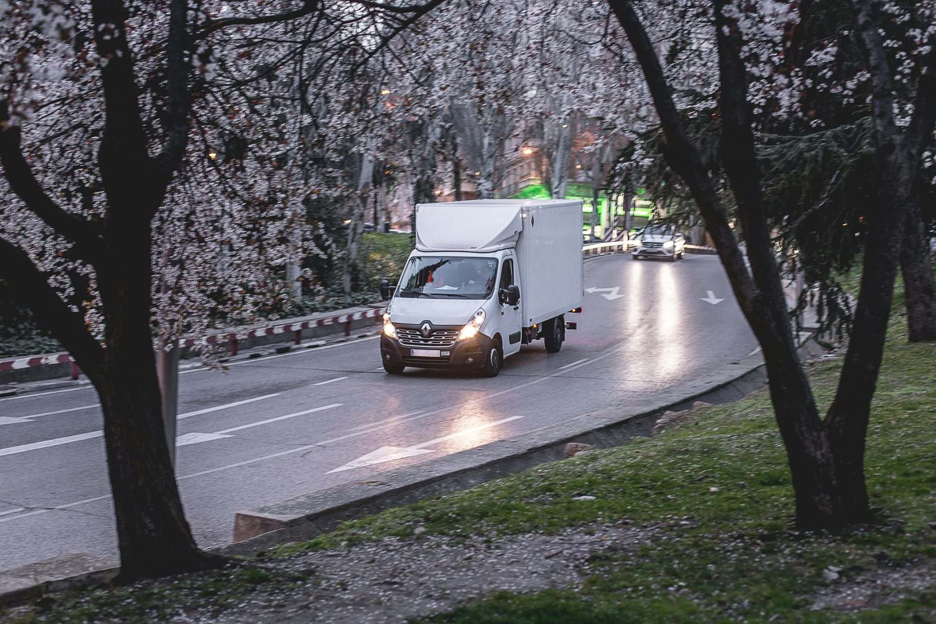 weißer Lieferwagen auf der Straße in der Nähe von Bäumen am Tag